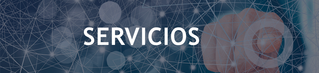 Servicios